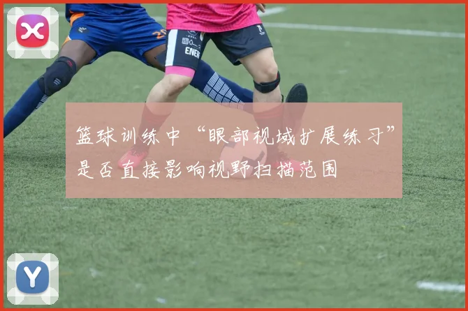 篮球训练中“眼部视域扩展练习”是否直接影响视野扫描范围