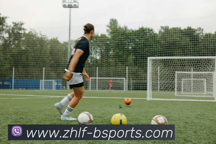 B体育Bsports平台生态图